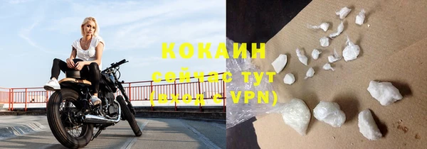 крисы Вязьма