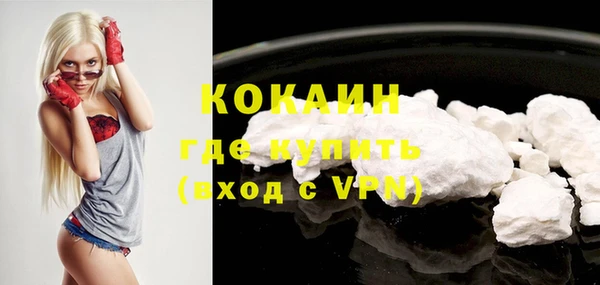 крисы Вязьма