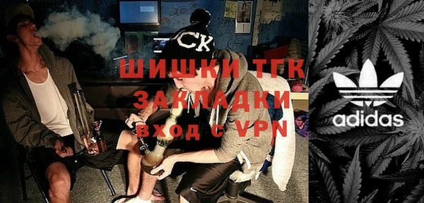крисы Вязьма