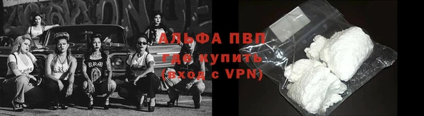 крисы Вязьма