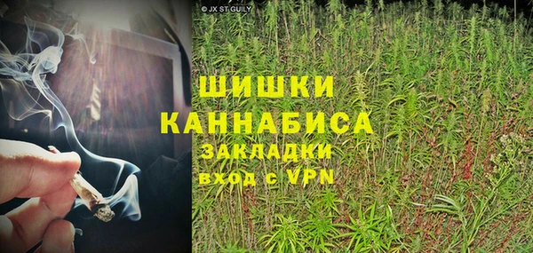 крисы Вязьма