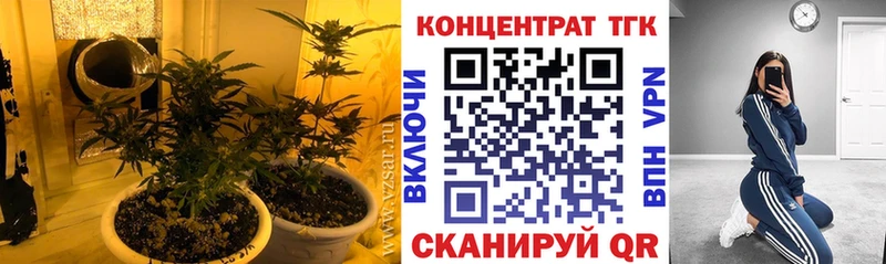 где продают наркотики  Карачев  ТГК THC oil 