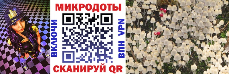 Псилоцибиновые грибы прущие грибы Карачев